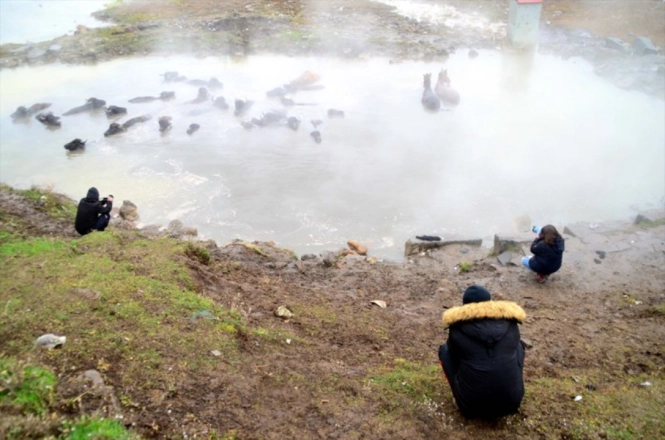 Budaklı Kaplıcaları