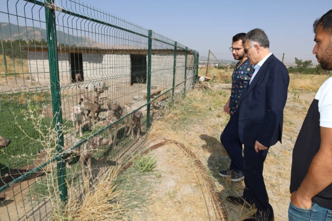 Can Dostlarımız Güroymak Belediyemizin Güvencesinde