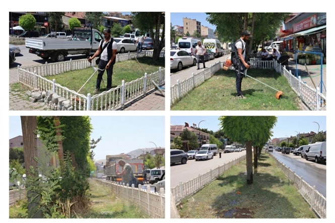 Daha Temiz, Daha Yeşil, Daha Güzel Güroymak