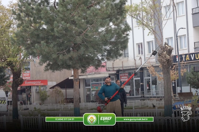 Kış Budaması Başladı!!!