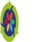 Sıfır Atık